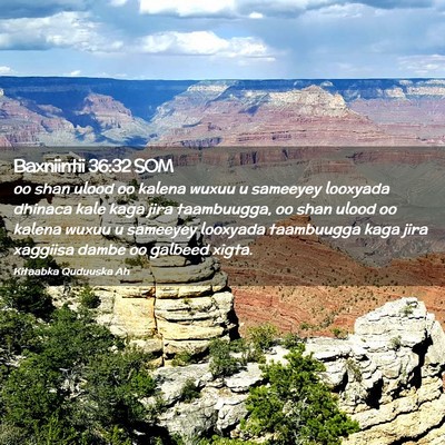 Picture 02 - Baxniintii 36:32 SOM - oo shan ulood oo kalena wuxuu u sameeyey looxyada - Bible Verse Picture
