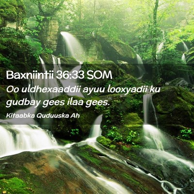 Picture 02 - Baxniintii 36:33 SOM - Oo uldhexaaddii ayuu looxyadii ku gudbay gees - Bible Verse Picture