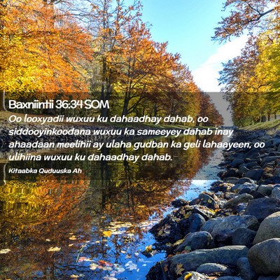 Picture 02 - Baxniintii 36:34 SOM - Oo looxyadii wuxuu ku dahaadhay dahab, oo - Bible Verse Picture