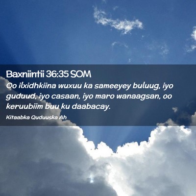 Picture 02 - Baxniintii 36:35 SOM - Oo ilxidhkiina wuxuu ka sameeyey buluug, iyo - Bible Verse Picture