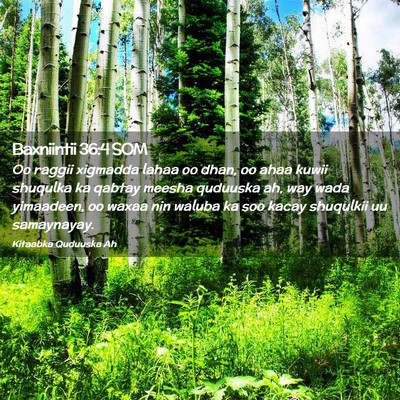 Picture 02 - Baxniintii 36:4 SOM - Oo raggii xigmadda lahaa oo dhan, oo ahaa kuwii - Bible Verse Picture