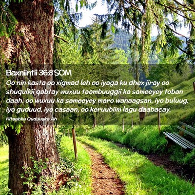 Picture 02 - Baxniintii 36:8 SOM - Oo nin kasta oo xigmad leh oo iyaga ku dhex jiray - Bible Verse Picture