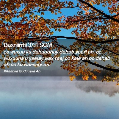 Picture 02 - Baxniintii 37:11 SOM - oo wuxuu ku dahaadhay dahab saafi ah, oo wuxuuna - Bible Verse Picture