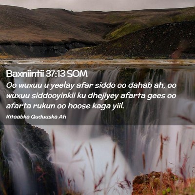 Picture 02 - Baxniintii 37:13 SOM - Oo wuxuu u yeelay afar siddo oo dahab ah, oo - Bible Verse Picture