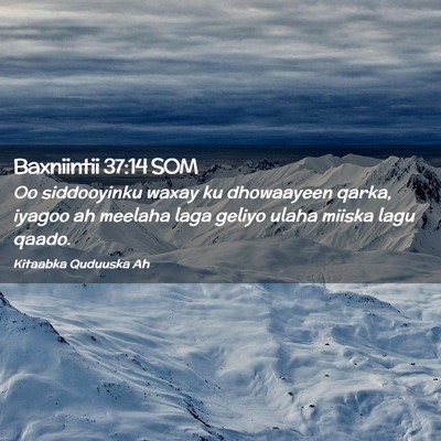 Picture 02 - Baxniintii 37:14 SOM - Oo siddooyinku waxay ku dhowaayeen qarka, iyagoo - Bible Verse Picture