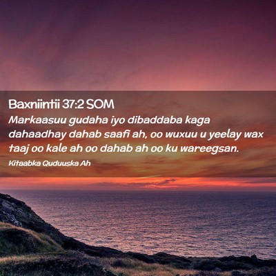 Picture 02 - Baxniintii 37:2 SOM - Markaasuu gudaha iyo dibaddaba kaga dahaadhay - Bible Verse Picture