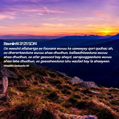 Picture 02 - Baxniintii 37:25 SOM - Oo meeshii allabariga ee fooxana wuxuu ka - Bible Verse Picture