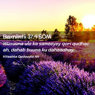 Picture 02 - Baxniintii 37:4 SOM - Wuxuuna ulo ka sameeyey qori qudhac ah, dahab - Bible Verse Picture