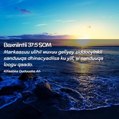 Picture 02 - Baxniintii 37:5 SOM - Markaasuu ulihii wuxuu geliyey siddooyinkii - Bible Verse Picture