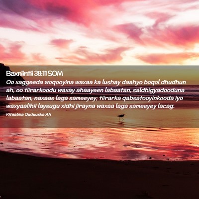 Picture 02 - Baxniintii 38:11 SOM - Oo xaggeeda woqooyina waxaa ka lushay daahyo - Bible Verse Picture