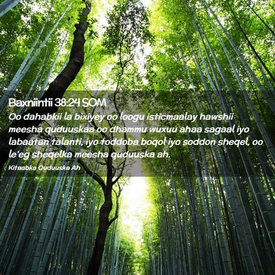 Picture 02 - Baxniintii 38:24 SOM - Oo dahabkii la bixiyey oo loogu isticmaalay - Bible Verse Picture
