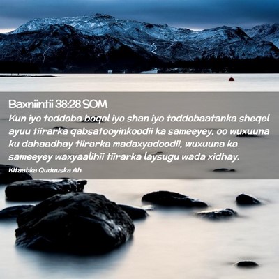 Picture 02 - Baxniintii 38:28 SOM - Kun iyo toddoba boqol iyo shan iyo toddobaatanka - Bible Verse Picture