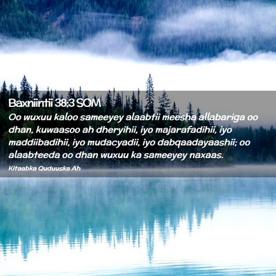Picture 02 - Baxniintii 38:3 SOM - Oo wuxuu kaloo sameeyey alaabtii meesha - Bible Verse Picture