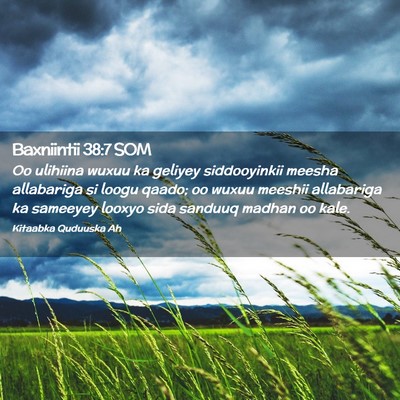 Picture 02 - Baxniintii 38:7 SOM - Oo ulihiina wuxuu ka geliyey siddooyinkii meesha - Bible Verse Picture
