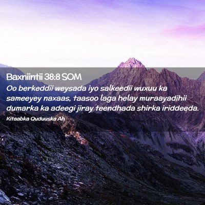 Picture 02 - Baxniintii 38:8 SOM - Oo berkeddii weysada iyo salkeedii wuxuu ka - Bible Verse Picture