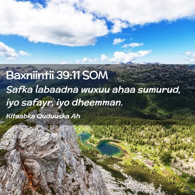 Picture 02 - Baxniintii 39:11 SOM - Safka labaadna wuxuu ahaa sumurud, iyo safayr, - Bible Verse Picture