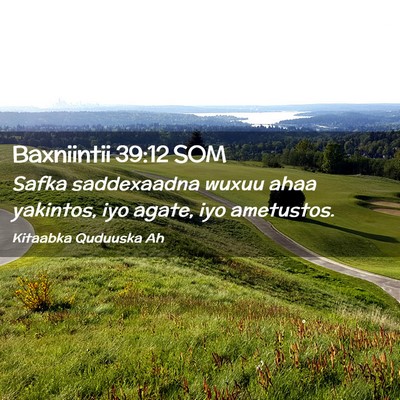 Picture 02 - Baxniintii 39:12 SOM - Safka saddexaadna wuxuu ahaa yakintos, iyo agate, - Bible Verse Picture