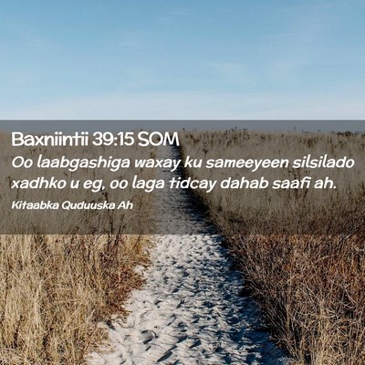 Picture 02 - Baxniintii 39:15 SOM - Oo laabgashiga waxay ku sameeyeen silsilado - Bible Verse Picture