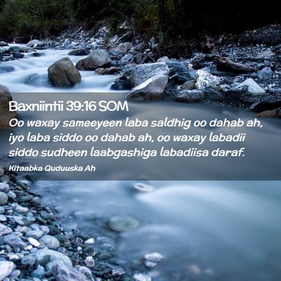 Picture 02 - Baxniintii 39:16 SOM - Oo waxay sameeyeen laba saldhig oo dahab ah, iyo - Bible Verse Picture