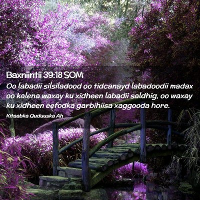 Picture 02 - Baxniintii 39:18 SOM - Oo labadii silsiladood oo tidcanayd labadoodii - Bible Verse Picture