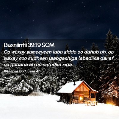 Picture 02 - Baxniintii 39:19 SOM - Oo waxay sameeyeen laba siddo oo dahab ah, oo - Bible Verse Picture