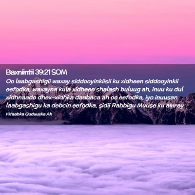Picture 02 - Baxniintii 39:21 SOM - Oo laabgashigii waxay siddooyinkiisii ku xidheen - Bible Verse Picture