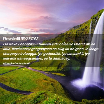 Picture 02 - Baxniintii 39:3 SOM - Oo waxay dahabkii u tumeen sidii caleemo khafiif - Bible Verse Picture
