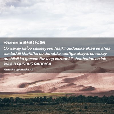 Picture 02 - Baxniintii 39:30 SOM - Oo waxay kaloo sameeyeen taajkii quduuska ahaa ee - Bible Verse Picture