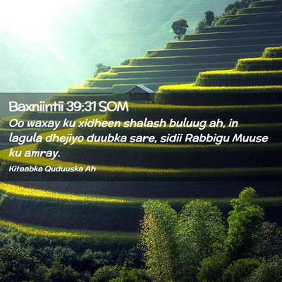 Picture 02 - Baxniintii 39:31 SOM - Oo waxay ku xidheen shalash buluug ah, in lagula - Bible Verse Picture