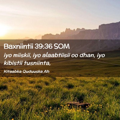 Picture 02 - Baxniintii 39:36 SOM - iyo miiskii, iyo alaabtiisii oo dhan, iyo - Bible Verse Picture