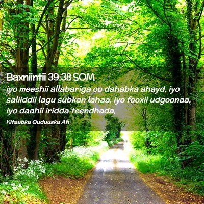 Picture 02 - Baxniintii 39:38 SOM - iyo meeshii allabariga oo dahabka ahayd, iyo - Bible Verse Picture