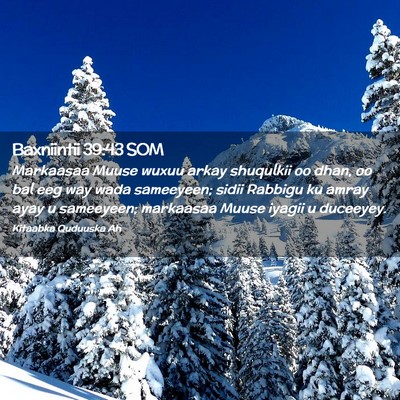 Picture 02 - Baxniintii 39:43 SOM - Markaasaa Muuse wuxuu arkay shuqulkii oo dhan, oo - Bible Verse Picture