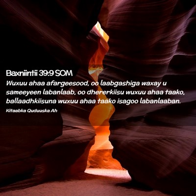 Picture 02 - Baxniintii 39:9 SOM - Wuxuu ahaa afargeesood, oo laabgashiga waxay u - Bible Verse Picture