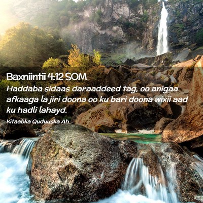 Picture 02 - Baxniintii 4:12 SOM - Haddaba sidaas daraaddeed tag, oo anigaa afkaaga - Bible Verse Picture