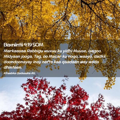 Picture 02 - Baxniintii 4:19 SOM - Markaasaa Rabbigu wuxuu ku yidhi Muuse, isagoo - Bible Verse Picture