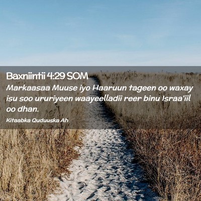 Picture 02 - Baxniintii 4:29 SOM - Markaasaa Muuse iyo Haaruun tageen oo waxay isu - Bible Verse Picture