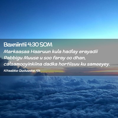 Picture 02 - Baxniintii 4:30 SOM - Markaasaa Haaruun kula hadlay erayadii Rabbigu - Bible Verse Picture