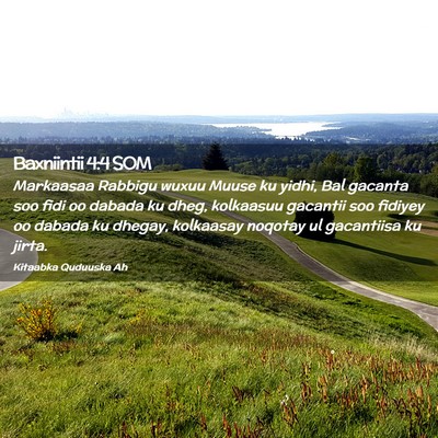 Picture 02 - Baxniintii 4:4 SOM - Markaasaa Rabbigu wuxuu Muuse ku yidhi, Bal - Bible Verse Picture