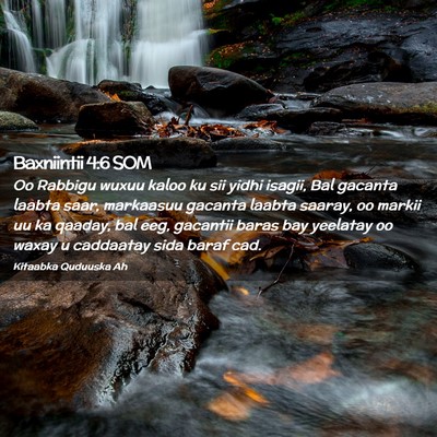 Picture 02 - Baxniintii 4:6 SOM - Oo Rabbigu wuxuu kaloo ku sii yidhi isagii, Bal - Bible Verse Picture
