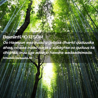 Picture 02 - Baxniintii 40:13 SOM - Oo Haaruun waa inaad u gelisaa dharkii quduuska - Bible Verse Picture
