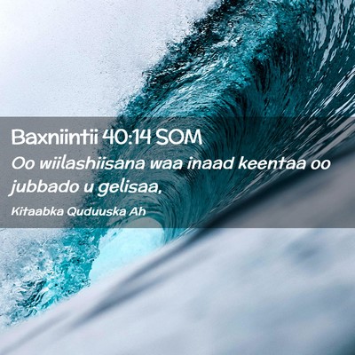 Picture 02 - Baxniintii 40:14 SOM - Oo wiilashiisana waa inaad keentaa oo jubbado u - Bible Verse Picture