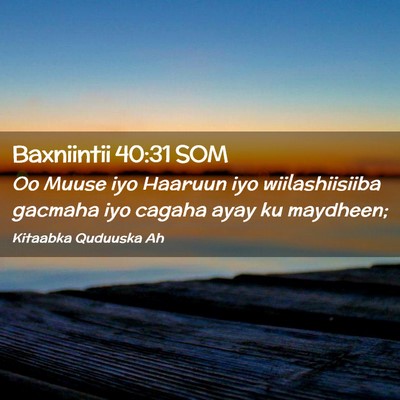 Picture 02 - Baxniintii 40:31 SOM - Oo Muuse iyo Haaruun iyo wiilashiisiiba gacmaha - Bible Verse Picture