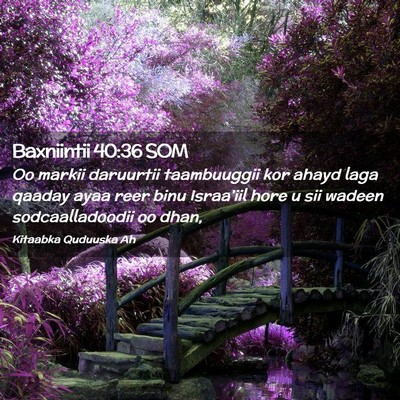 Picture 02 - Baxniintii 40:36 SOM - Oo markii daruurtii taambuuggii kor ahayd laga - Bible Verse Picture