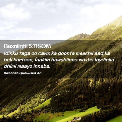 Picture 02 - Baxniintii 5:11 SOM - Idinku taga oo caws ka doonta meeshii aad ka heli - Bible Verse Picture