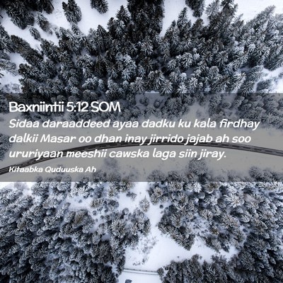 Picture 02 - Baxniintii 5:12 SOM - Sidaa daraaddeed ayaa dadku ku kala firdhay - Bible Verse Picture