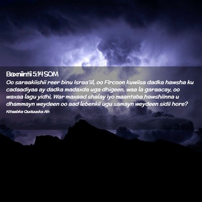 Picture 02 - Baxniintii 5:14 SOM - Oo saraakiishii reer binu Israa'iil, oo Fircoon - Bible Verse Picture