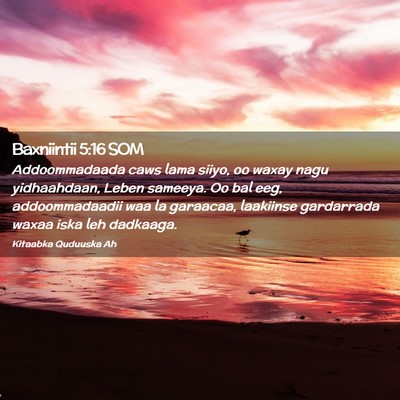 Picture 02 - Baxniintii 5:16 SOM - Addoommadaada caws lama siiyo, oo waxay nagu - Bible Verse Picture