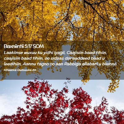 Picture 02 - Baxniintii 5:17 SOM - Laakiinse wuxuu ku yidhi iyagii, Caajisiin baad - Bible Verse Picture