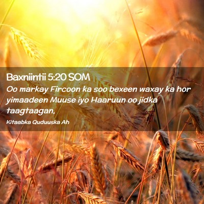 Picture 02 - Baxniintii 5:20 SOM - Oo markay Fircoon ka soo bexeen waxay ka hor - Bible Verse Picture