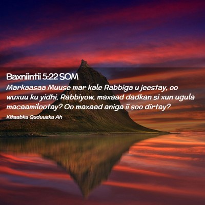 Picture 02 - Baxniintii 5:22 SOM - Markaasaa Muuse mar kale Rabbiga u jeestay, oo - Bible Verse Picture